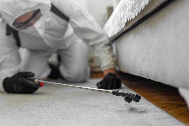 Professional Termite Control technician working in Griggsville, IL