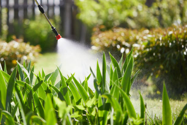24/7 Emergency Termite Control experts in Griggsville, IL